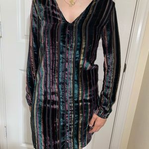 Velvet Button Down Dress